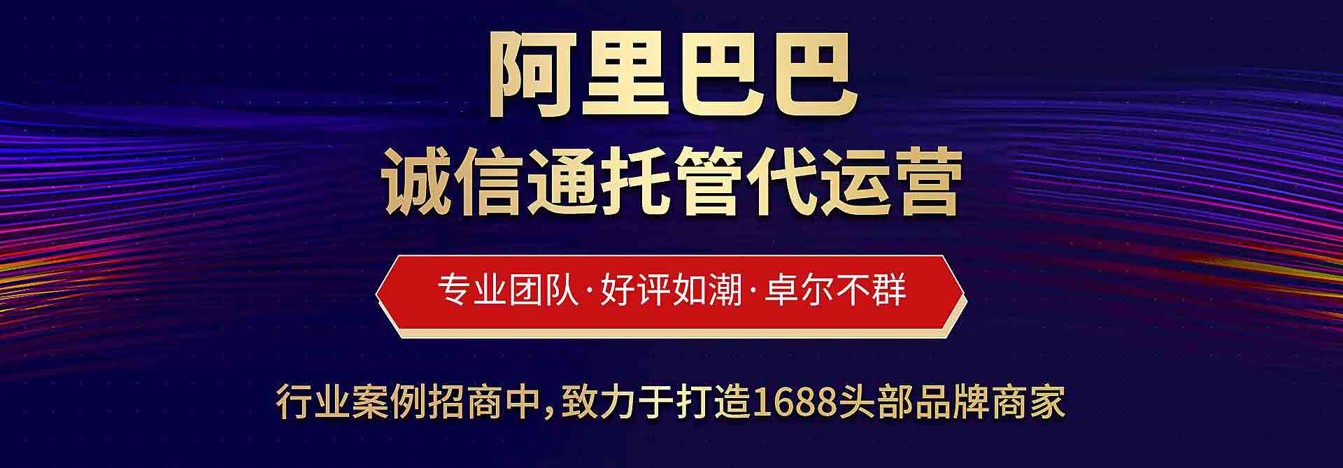 山东九聚信息技术有限公司-山东最好的阿里巴巴1688托管公司-山东最好的阿里代运营公司